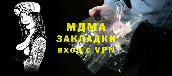 хмурый Алексин