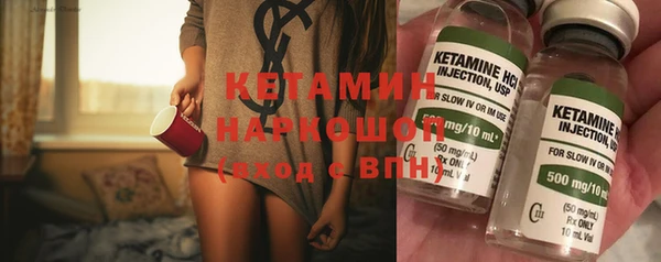 хмурый Алексин