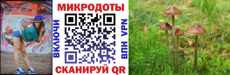 гидра ONION  где купить   Сасово  Псилоцибиновые грибы Cubensis 